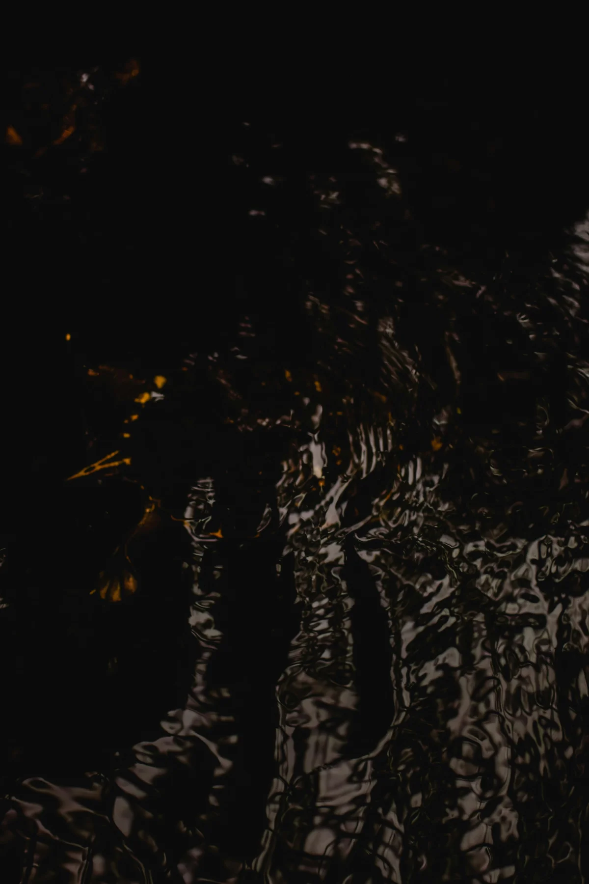 Greg Brown speaking at a tech conference